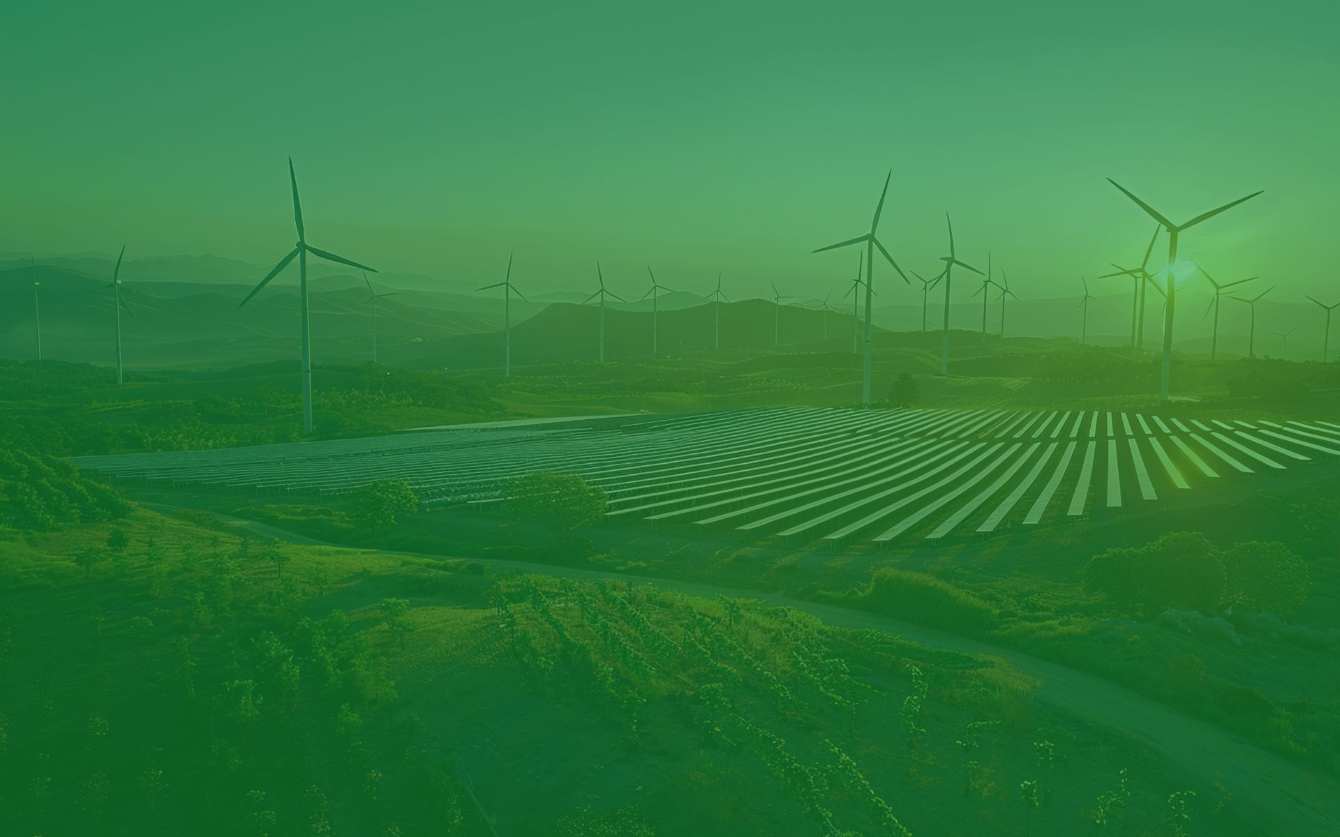 Certificate IV in Environmentally Sustainable Management