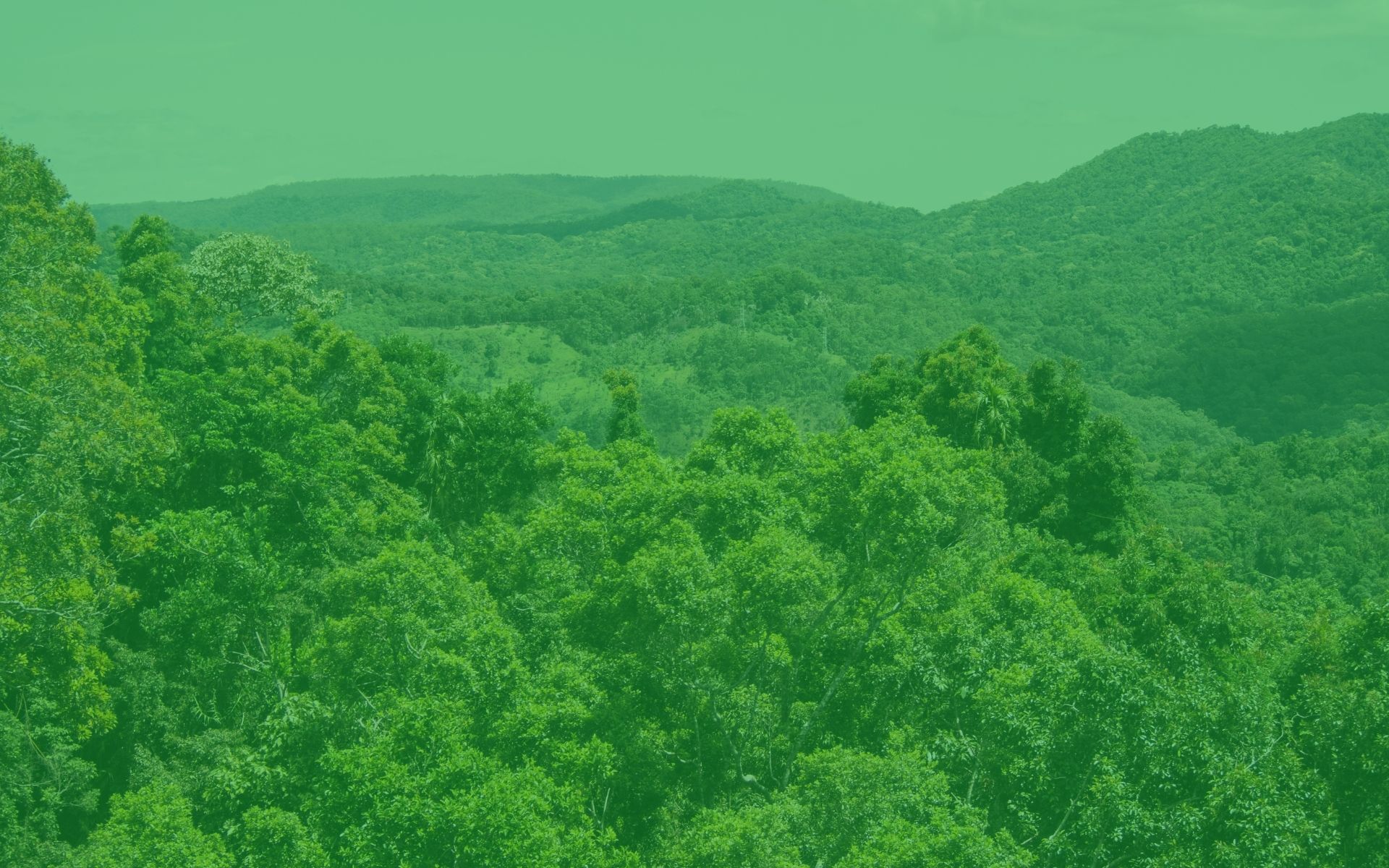 Advanced Diploma of Conservation and Ecosystem Management