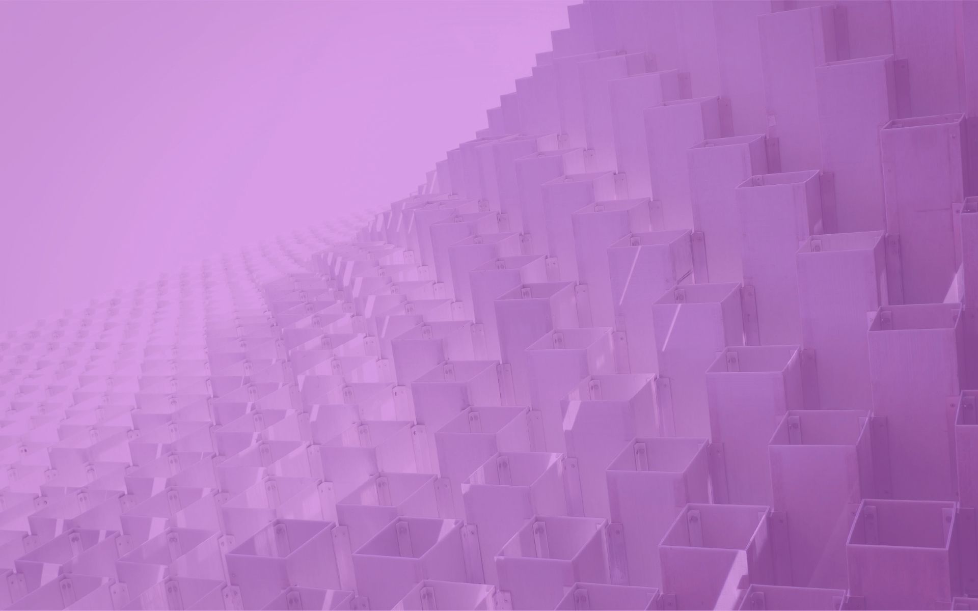 Diploma of Graphic Design